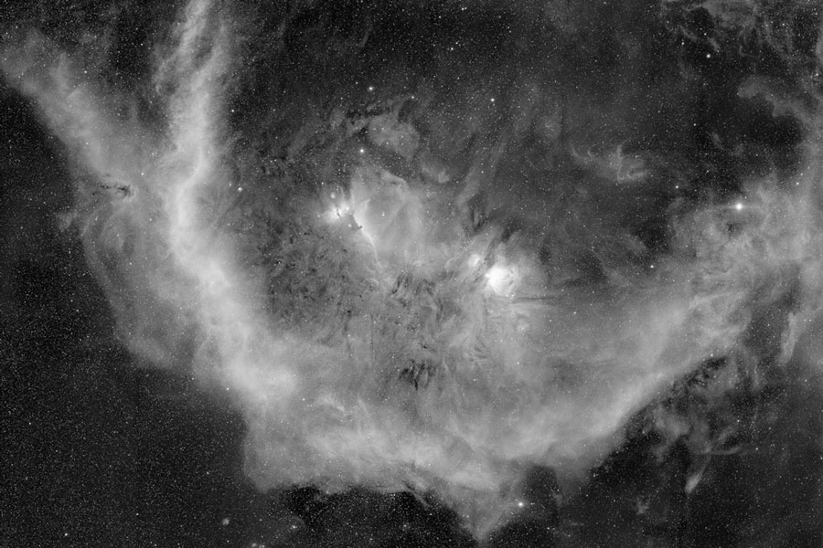 Das Schwarz-Weiß-Bild zeigt die Barnardschleife im Sternbild Orion. Die bekannten Wahrzeichen - der Pferdekopfnebel und der Flammennebel - sind hier schwer erkennbar.
