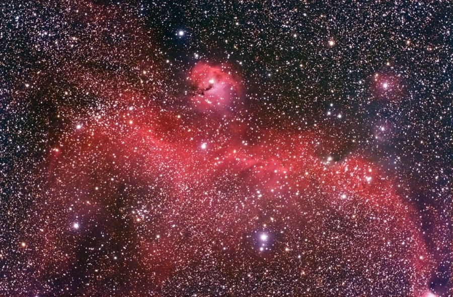 Das Bild ist von Sternen gefüllt. Dahinter leuchtet ein roter Nebel, dessen Form an eine Möwe erinnert.