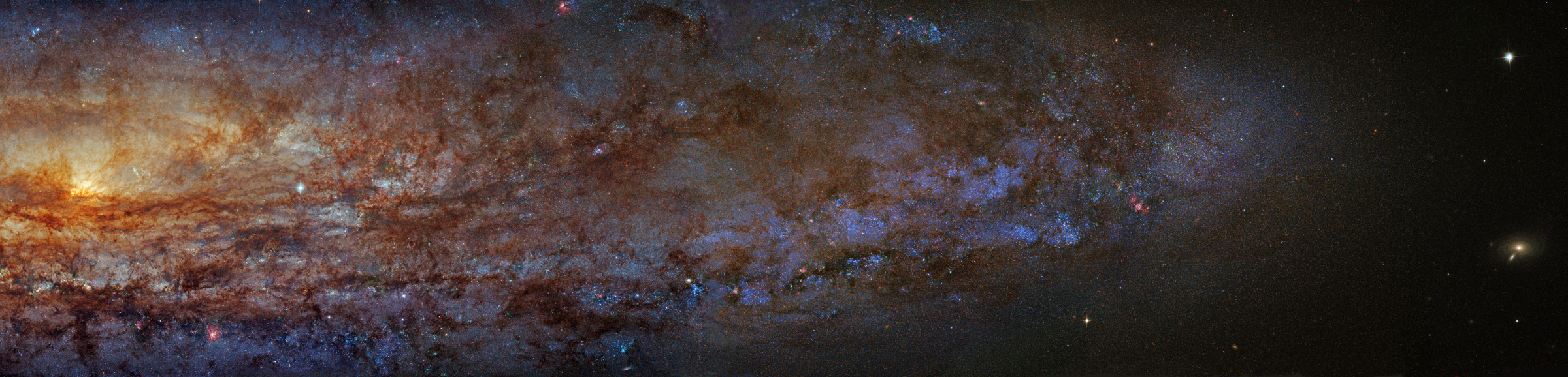 Die rechte Hälfte der Galaxie NGC 253 verläuft vom Galaxienkern links bis zu den Ausläufern rechts, sie besitzt sehr markante Staubbahnen. Ganz rechts ist ein kleines Galaxienpaar im Hintergrund.