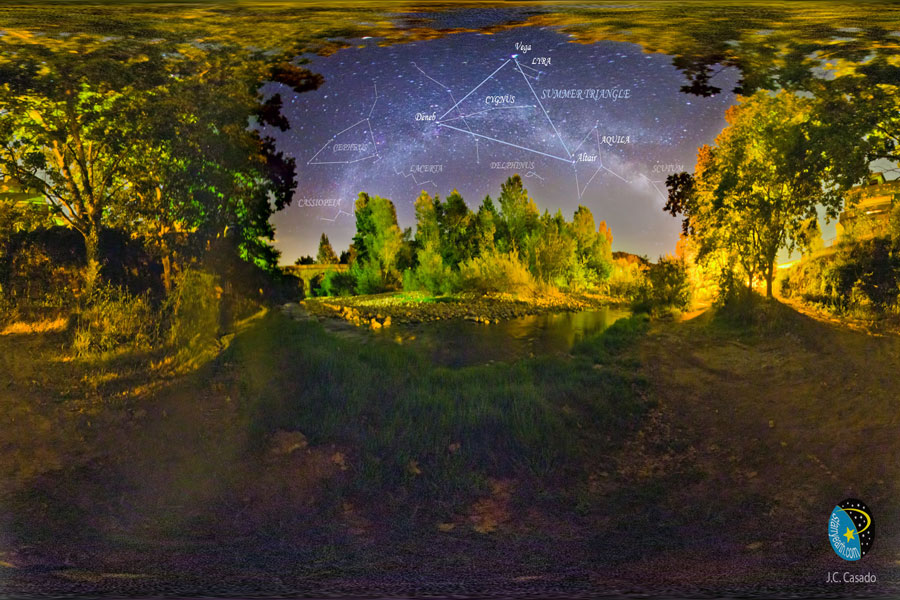 In einer urwaldartig grünen Landschaft leuchtet hinten durch eine Baumlücke die Milchstraße und der Sternenhimmel.