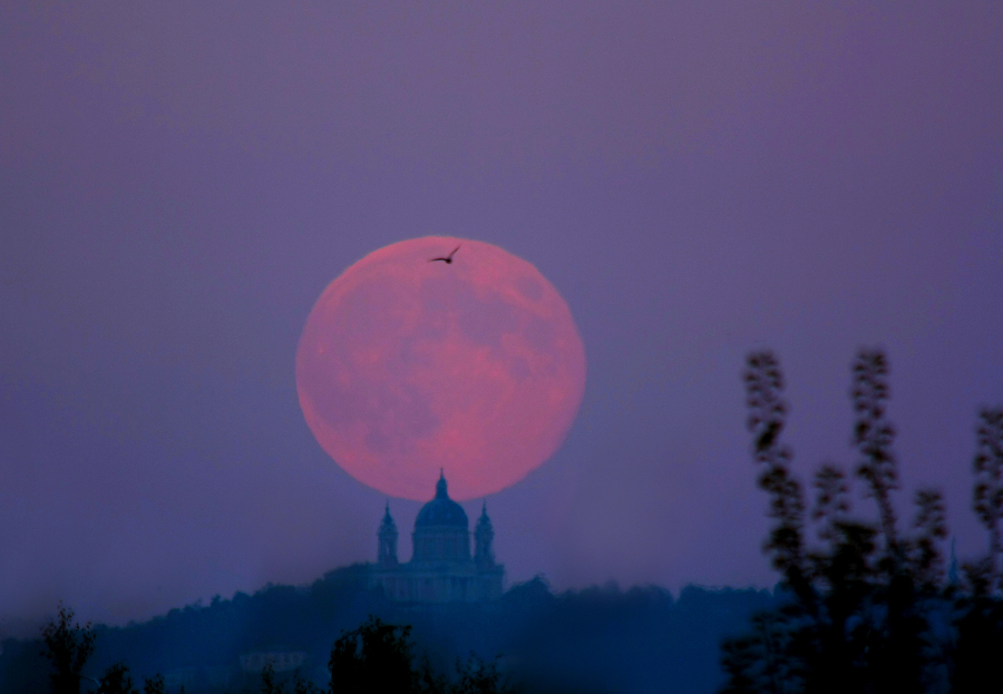 Hinter der Silhouette eines Berges mit Wald und der Superga in Turin geht ein mattroter Vollmond auf. Der Himmel ist violett.