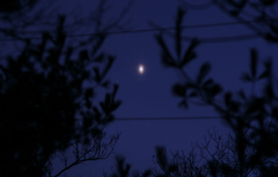 Hinter den Ästen von Bäumen leuchtet am dunkelblauen Himmel eine ovale Venus.