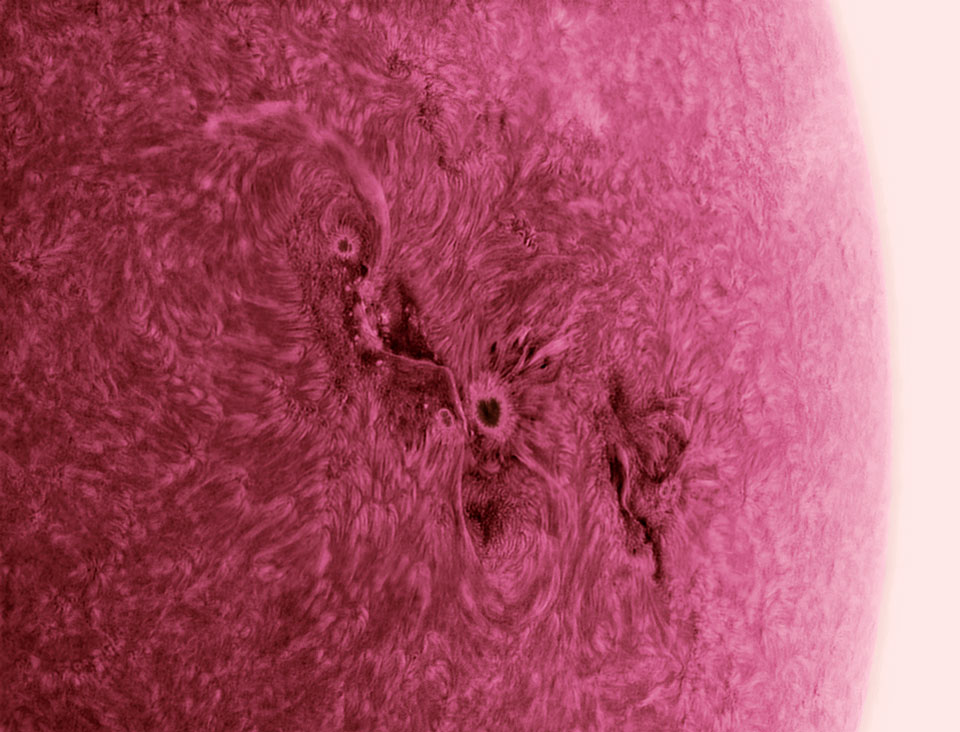 Im Bild ist ein Teil einer flauschigen rosaroten Kugel abgebildet, doch die Kugel ist in Wirklichkeit die Sonne als Negativ in Falschfarben, und sie ist ziemlich aktiv, wie man an der abgebildeten Sonnenfleckengruppe in der Mitte ernennen kann.