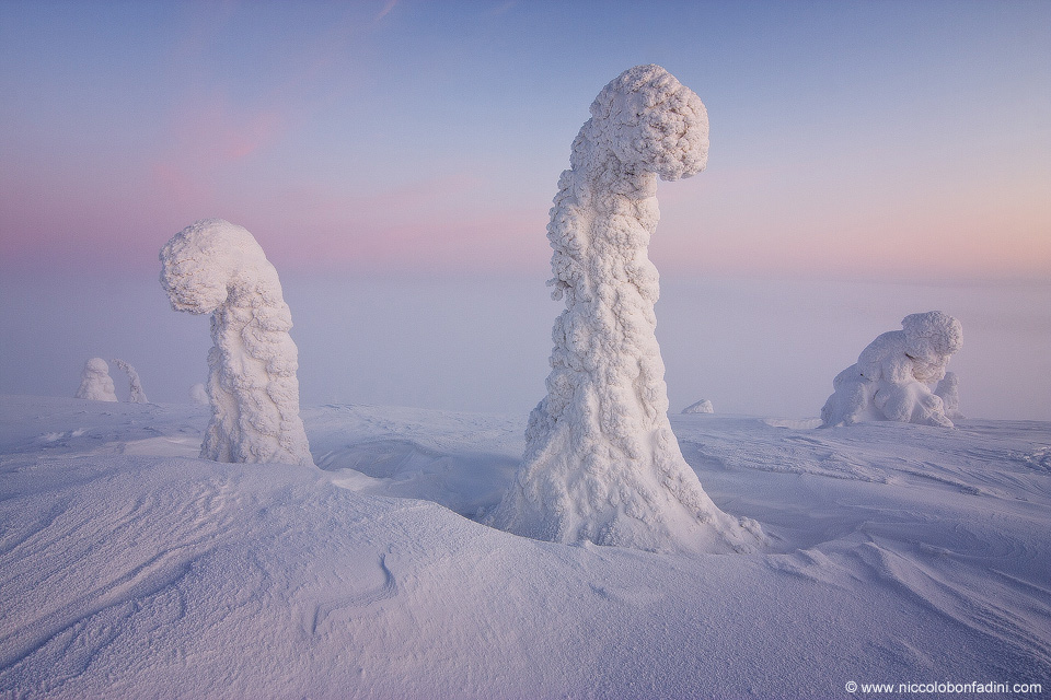 Wie Wächter stehen einige dick von Schnee und Eis bedeckte Bäume in einer verschneiten Landschaft. Hinten sieht man den Erdschatten am Himmel, der oben von einem rötlichen Band begrenzt wird.