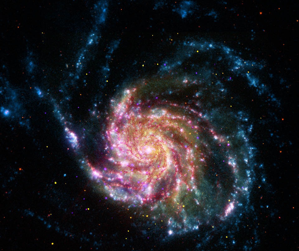 Die Spiralgalaxie im Bild wirkt zerfleddert. Ihre Spiralarme sind stark ausgeprägt und wirken zum Rand hin hinausgeschleudert. Sie besitzen viele rötliche Sternbildungsregionen und bläuliche Sternhaufen.