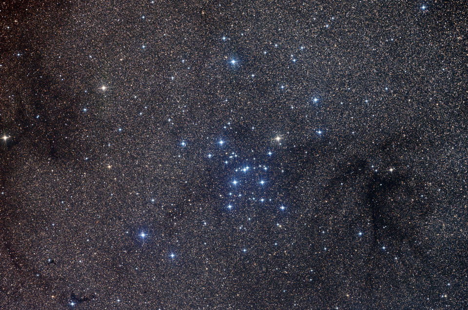 Vor einem Hintergrund voller dicht gedrängter Sterne und einiger Dunkelwolken strahlt ein Sternhaufen mit blauen Sternen, ein Stern rechts oben leuchtet gelblich.