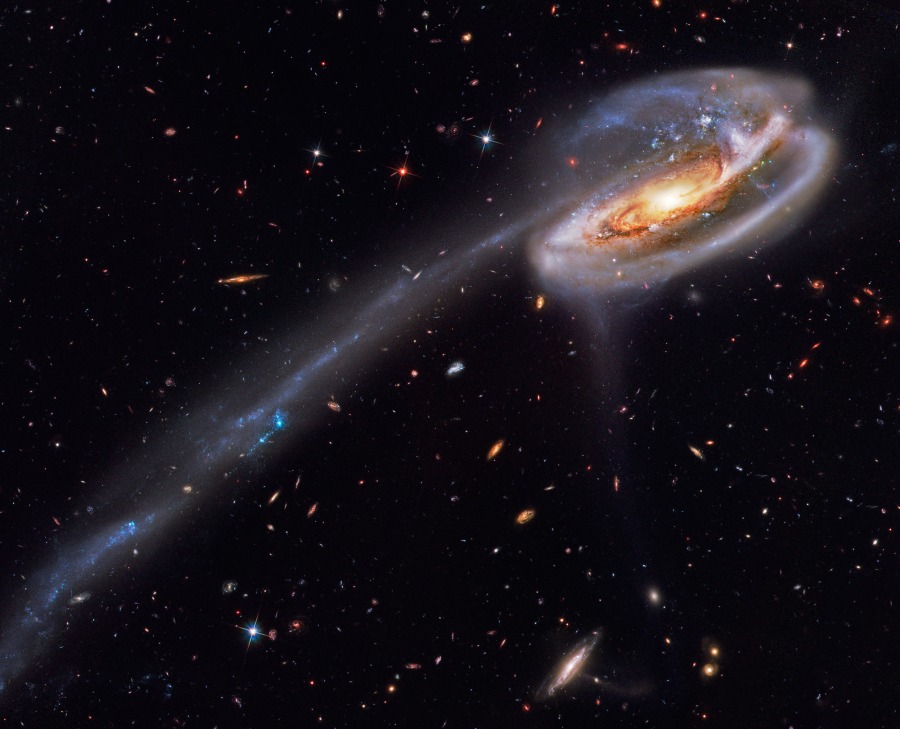 Die Galaxie im Bild wurde kräftig durcheinander gewirbelt. Nach links unten breitet sich ein langer Schweif aus, den eine eindringende Galaxie herausgezogen hat.