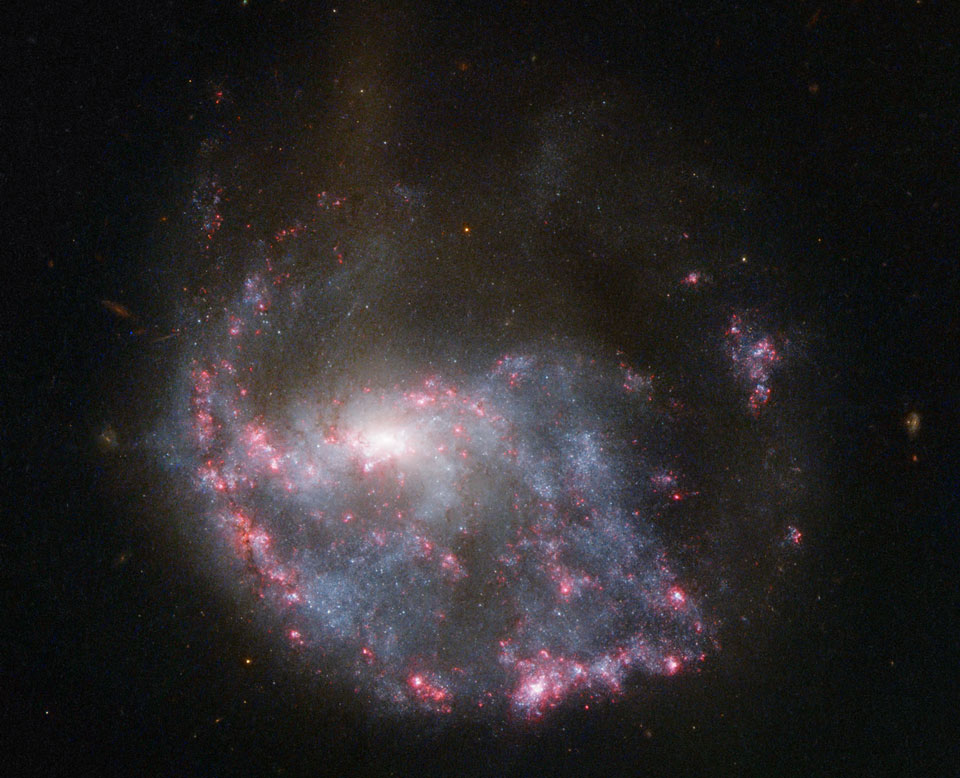 Die Galaxie NGC 922 besitzt viele rötlich leuchtende Sternbildungsregionen, sie sind auf diesem Bild wie ein Bogen angeordnet und erinnern an Wellen in einem Teich, wenn ein Stein ins Wasser fällt.