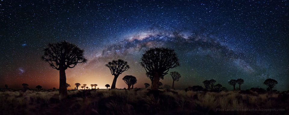 Hinter Silhouetten von Köcherbäumen in Namibia leuchten die Lichter von Keetmanshoop, oben wölbt sich die Milchstraße.