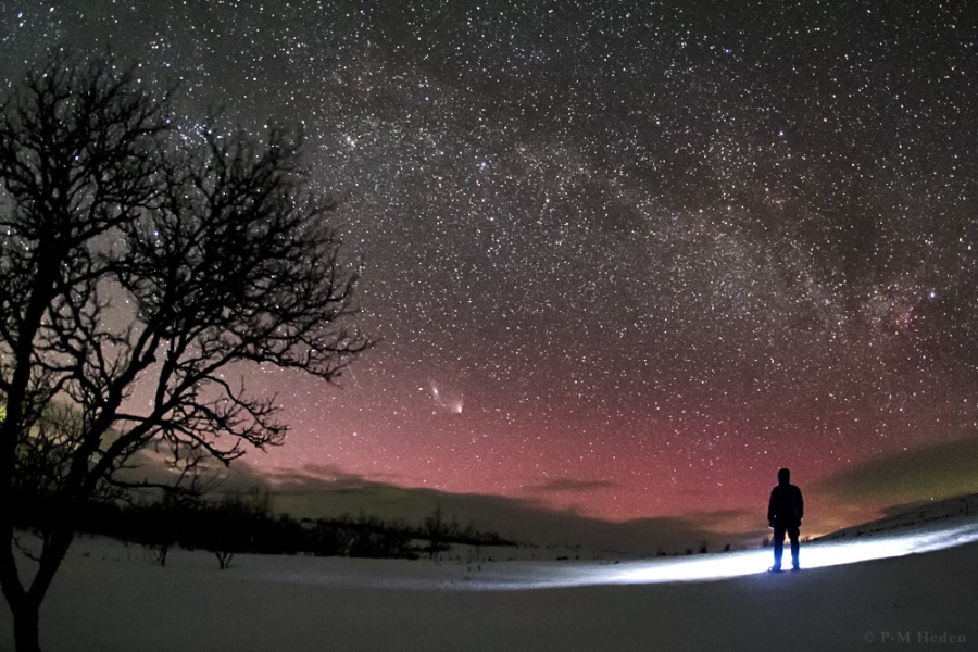 Über roten Polarlichtern begegnen einander Komet PanSTARRS und die Andromedagalaxie. Links ist die Silhouette eines Baumes ohne Blätter. Oben wölbt sich die Milchstraße.