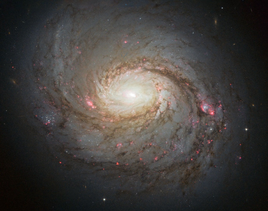 Eine von oben sichtbare Spiralgalaxie breitet sich über das ganze Bild aus. Nach rechts verläuft eine sehr markante Staubbahn, nach links eine weniger dichte Staubspur. Die Staubarme sind markanter als die Spiralarme. In der Scheibe sind mehrere rot leuchtende Wasserstoffwolken verteilt.