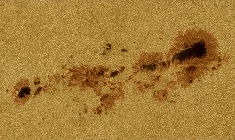 Bildfüllend ist die Sonnenfleckengruppe AR 11785 dargestellt. Sie besitzt deutlich ausgeprägte Umbrae und gefaserte Penumbrae. Die Gruppe ist in einen Teppich aus Granulation eingebettet. Jede Granule ist etwa 1000 Kilometer groß.