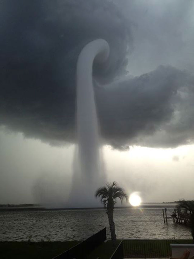 Diese Wasserhose steigt über der Tampa Bay in Florida auf. Ihr Aussehen erinnert an einen Elefantenrüssel. Am Kai im Vordergrund steht eine Palme, daneben geht die Sonne über dem Meer unter.