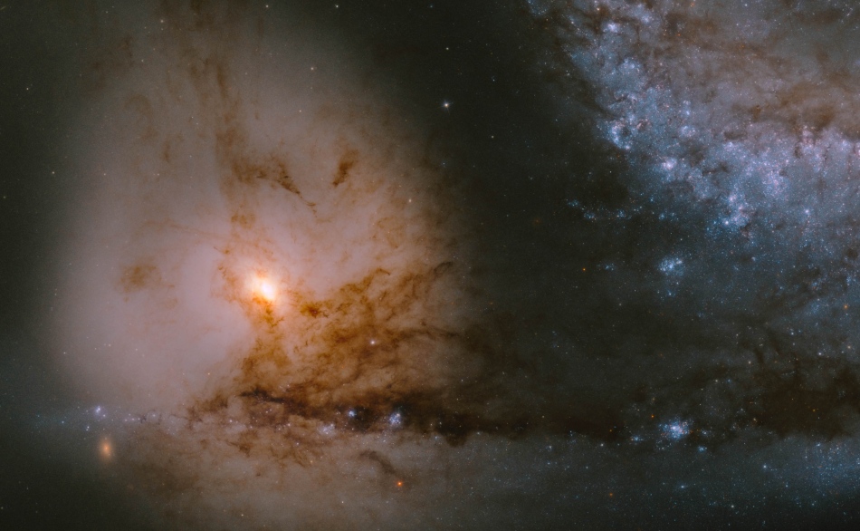 Vor einer relativ gleichförmigen Galaxie mit einem kleinen hellen Kern verlaufen vorwiegend unten dunkelbraune Staubbahnen. Rechts oben ragen blaue Sternbildungsregionen ins Bild.