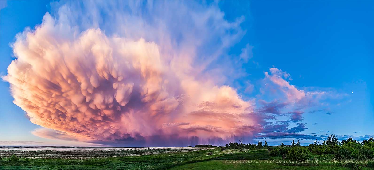Vor dem blauen Himmel türmt sich eine rosarot beleuchtete Gewitterwolke auf. Vorne links sind die markanten Beulen einer Mammatus, hinten fällt Regen. Rechts steht der zunehmende Mond.