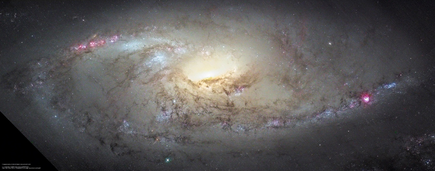 M106 ist auch als NGC 4258 bekannt. Es ist eine Spiralgalaxie mit diffusen Spiralarmen, die an den Staubbahnen und Sternbildungsregionen erkennbar sind. Der Kern leuchtet hellgelb.