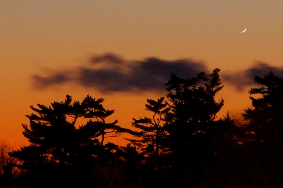 Über der Silhouette steht die junge Sichelvenus am orangefarbenen Abendhimmel über Québec in Kanada.