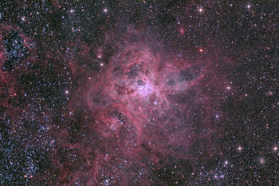 Der Tarantelnebel im Bild ist von dicht verteilten Sternen umgeben. Sein Zentrum leuchtet hellviolett. Seine spinnenartigen Filamente führten zu seinem landläufigen Namen.
