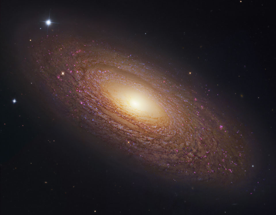 Die Galaxie im Bild wirkt sehr flach und zierlich, obwohl sie viel größer ist als unsere Milchstraße. Ihr Kern ist gelblich, außen verlaufen rötlichbraune dicht gefundene Spiralarme.