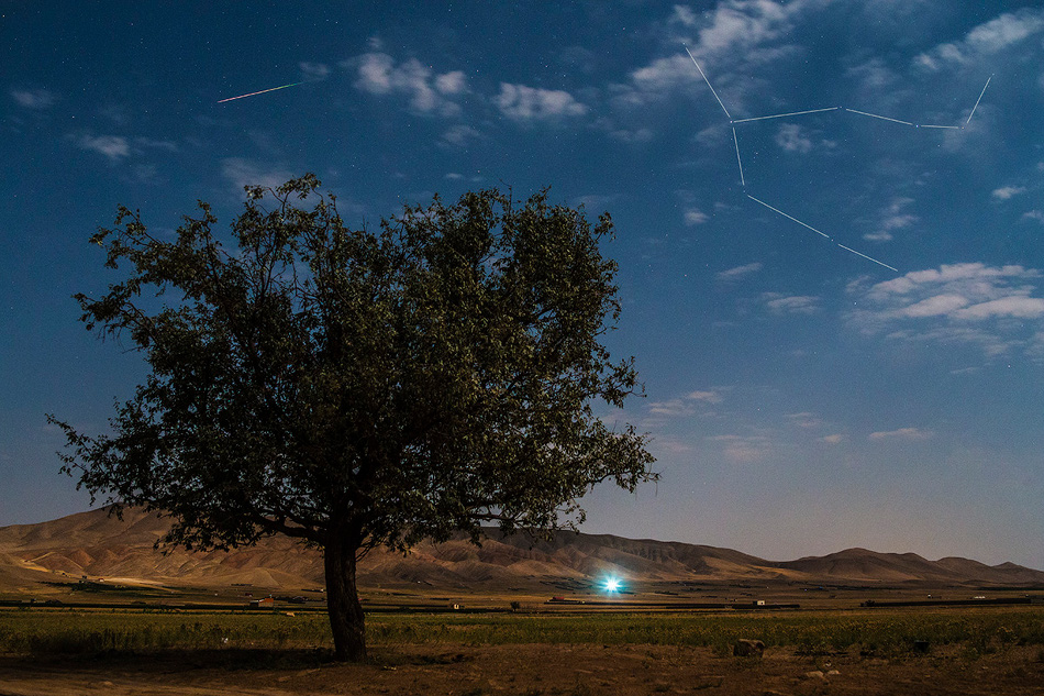 Über einem Baum in einer kargen Landschaft wölbt sich der blaue Himmel im Mondlicht. Zwischen Wolken zischt links ein Perseïd, rechts sind die Umrisse des Sternbildes Perseus markiert.