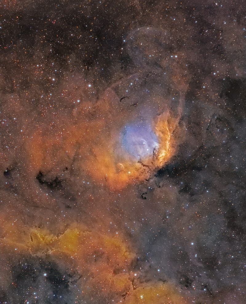 Das Bild ist von einem teils ockerbraun leuchtenden Nebel und kleinen Sternen gefüllt, dazwischen ranken sich auch dunkle Staubwolken. In der Bildmitte leuchtet der blaue Tulpennebel.