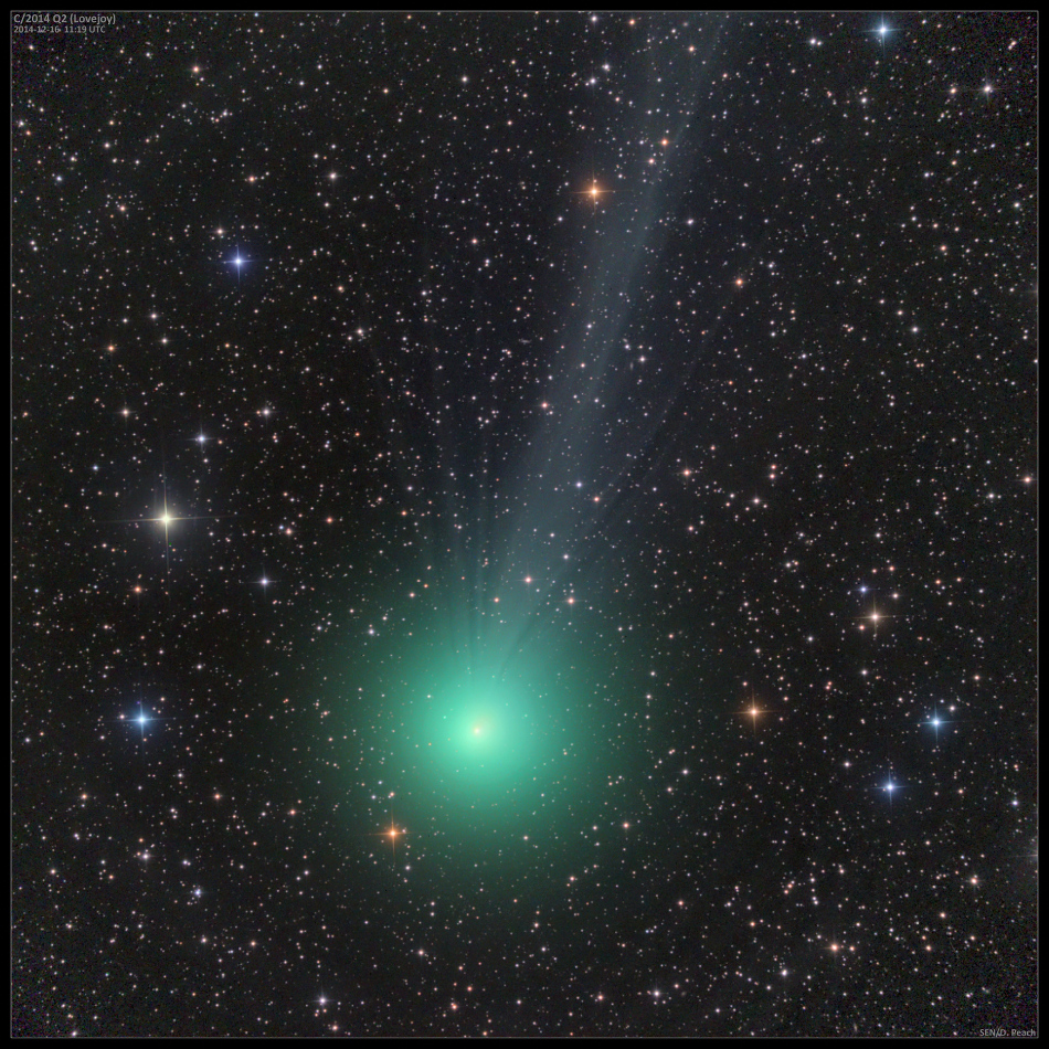 Mitten im Bild leuchtet die markant grüne, diffuse Koma des Kometen C/2014 Q2 Lovejoy. Nach oben hin breitet sich fächerförmig ein zarter Schweif aus. Der Hintergrund ist voller Sterne.