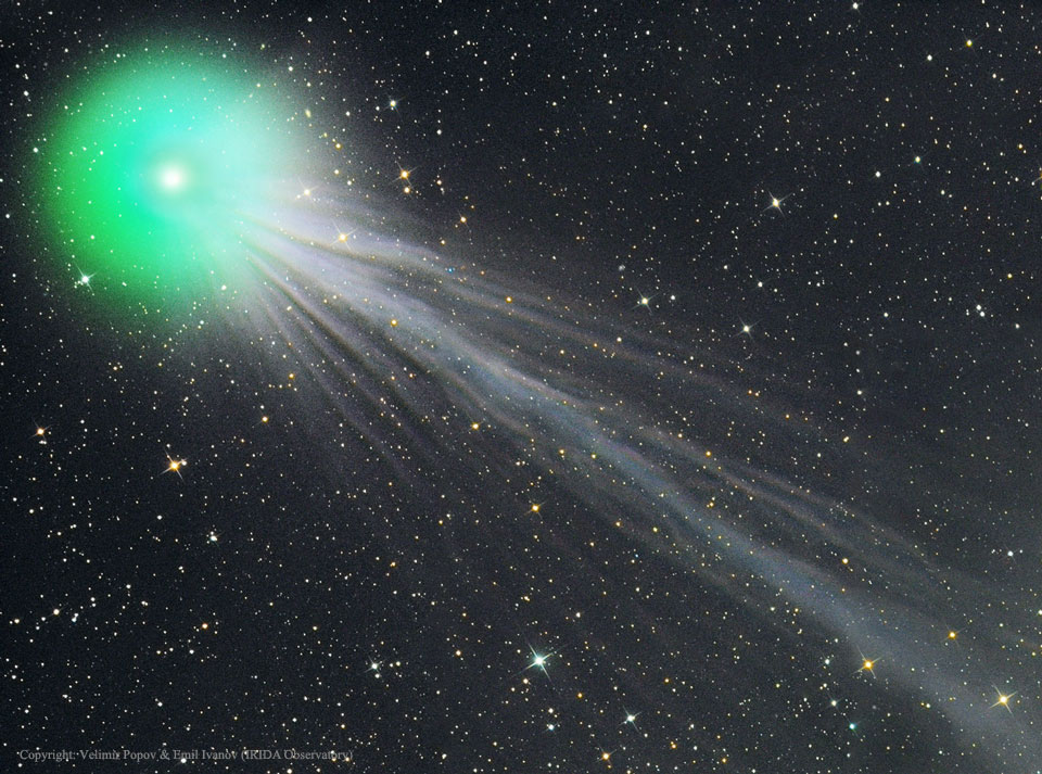 Links oben ist die helle, grüne Koma des Kometen Lovejoy zu sehen. Nach links unten fächert sich sein Schweif in vielen Fasern auf. Im Hintergrund sind die Sterne im Sternbild Stier.