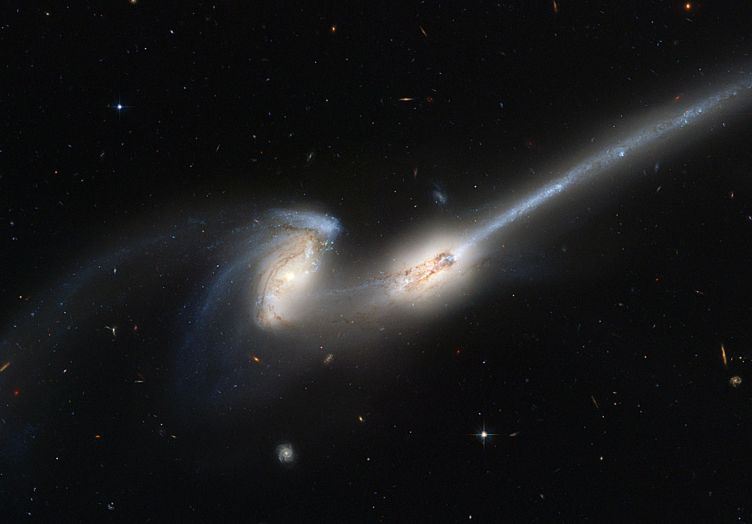 Die beiden Galaxien im Bild erinnern an Mäuse. Ihre Kerne sind getrennt, dazwischen verlaufen Sternschleier. Nach rechts oben ist ein langer, fast gerader Schweif aus Staub und blauen Sternen hinausgeschleudert.