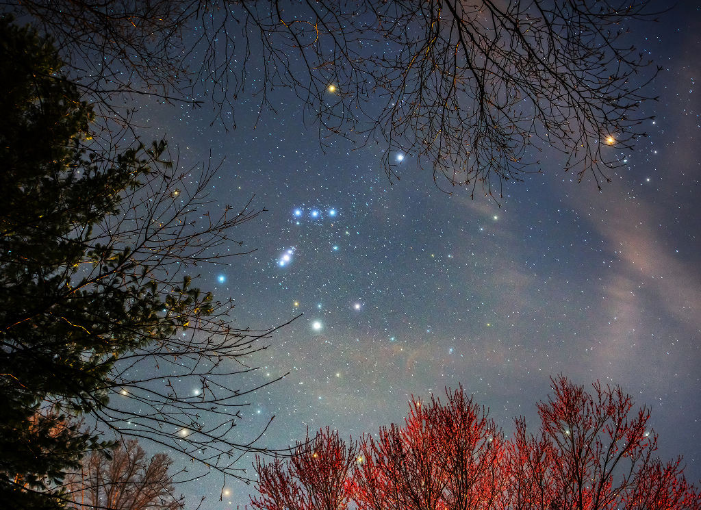 Von Zweigen gerahmt leuchtet das prachtvolle Wintersternbild Orion vom Himmel. Rechts oben ist der Stierkopf der Hyaden mit dem orangefarbenen Stern Aldebaran.
