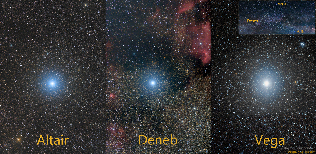 Die Sterne Altair, Deneb und Wega leuchten am Himmel etwa gleich hell, doch in Wirklichkeit sind sie sehr unterschiedlich. Hier sind sie zum Vergleich nebeneinander abgebildet.