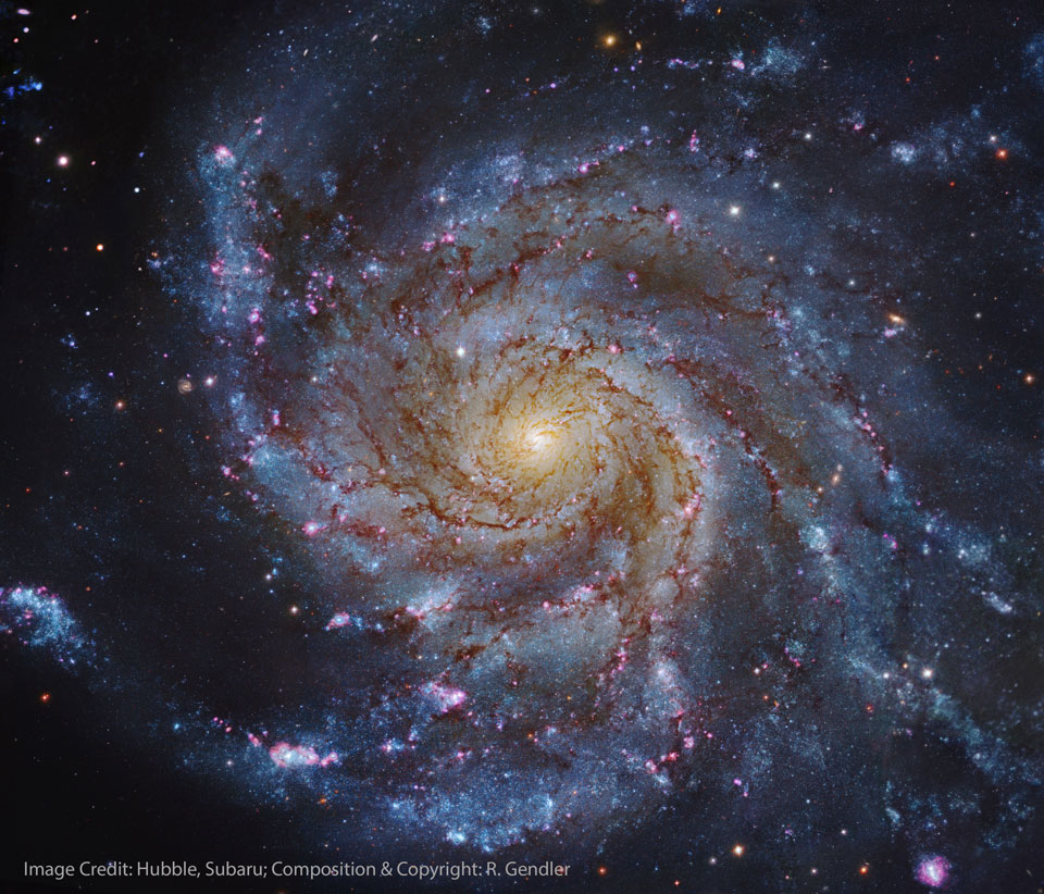 Die Galaxie M101 im Bild ist direkt von oben zu sehen. Sie ist von lebhaften Spiralarmen umgeben, die um ihr gelb leuchtendes Zentrum kreisen.
