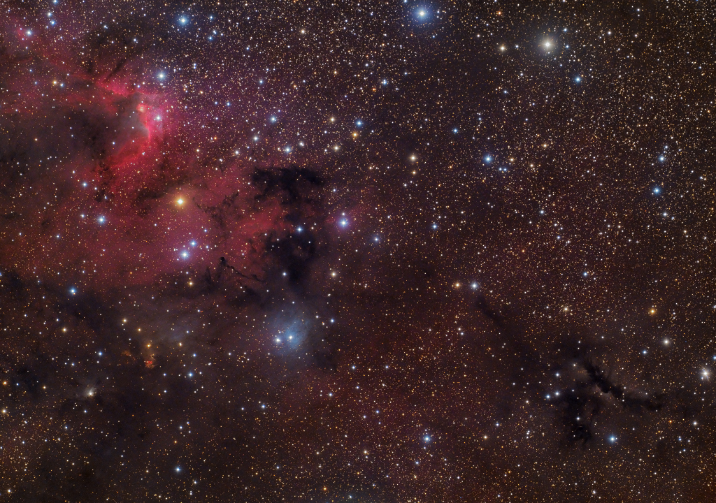 Das Bild ist relativ dicht mit Sternen gefüllt. Links oben leuchten rote Emissionsnebel, nach rechts unten reicht ein dunkler Nebel, der quer durchs Bild verläuft. Im ganzen Bild sind kleine blaue Reflexionsnebel verteilt.