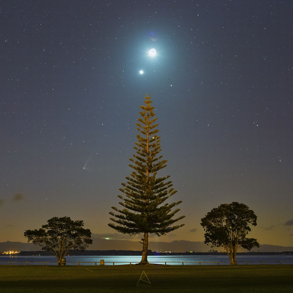 Über einem großen dreieckigen Baum leuchten Mond und Venus, links daneben der Komet PanSTARRS. Drei Bäume stehen an einem ruhigen Gewässer.