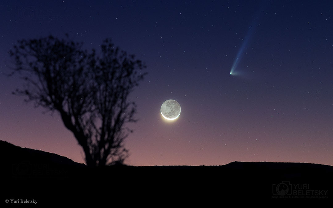 In der Dämmerung leuchtet der Sichelmond mitten im Bild am dunkelvioletten Himmel. Links daneben ist die Silhouette eines Baumes. Rechts oben breitet Komet PanSTARRS seine Schweife aus.