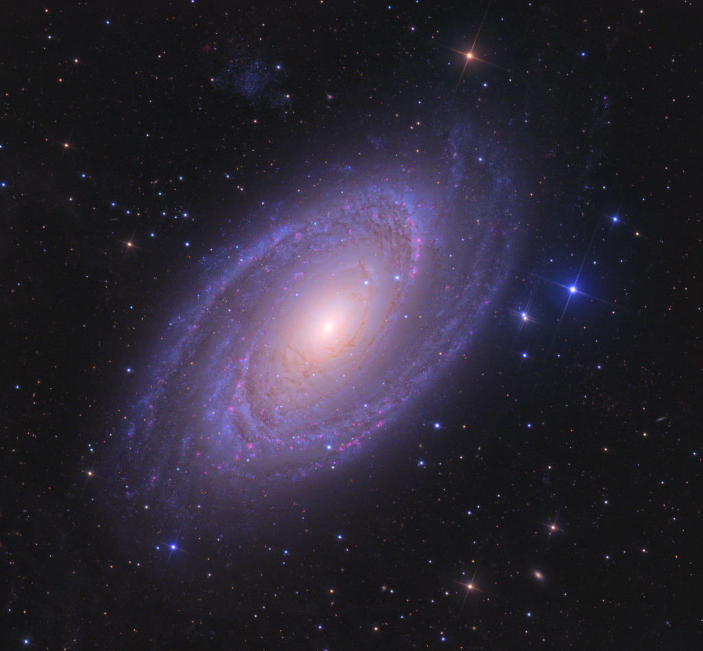 Die prachtvolle Spiralgalaxie M81 hat ausgeprägte Spiralarme. In der Mitte läuft eine Staubbahn gegen die Rotationsrichtung der Galaxie.