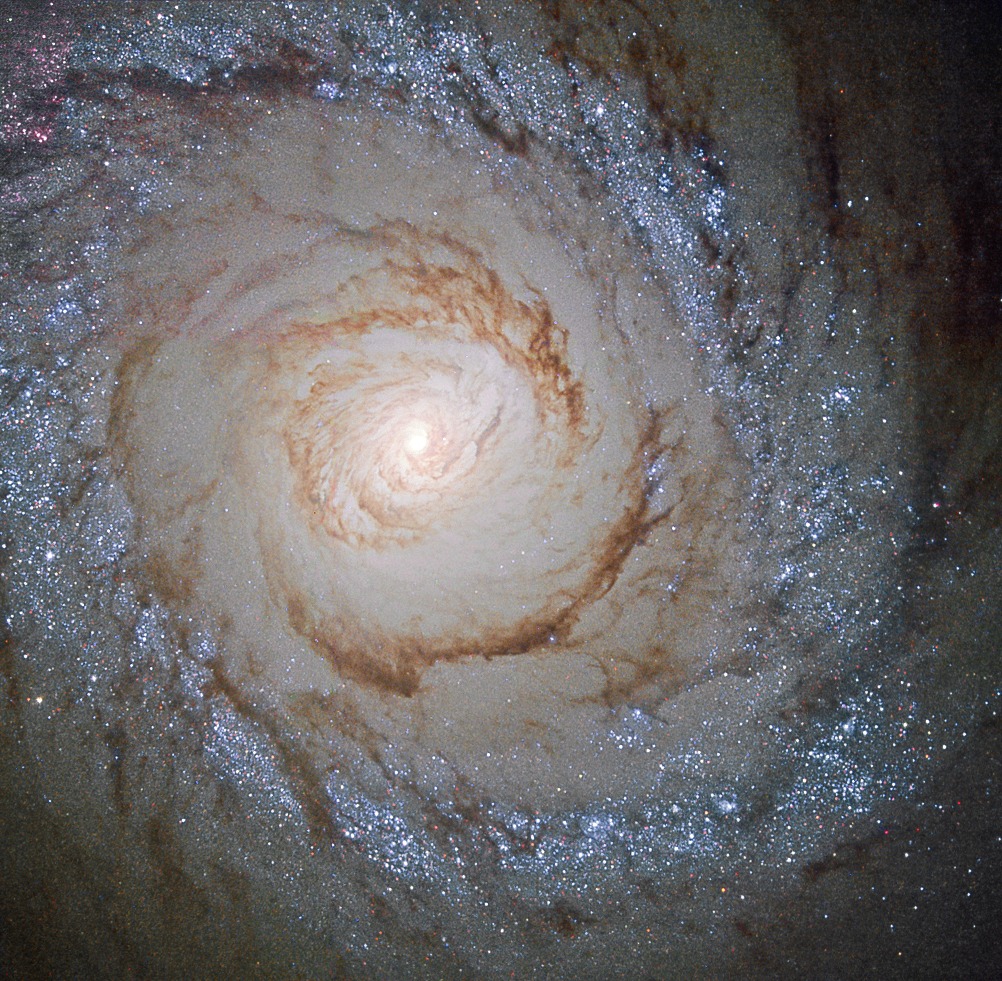 Das scharfe Hubble-Bild zeigt Details der Sternbildungsgalaxie M94 im Sternbild Jagdhunde. Links neben der Mitte ist ein kleiner Kern, umgeben von gleichmäßigem Beige, das von dunklen Staubbahnen durchzogen ist. Weiter außen verläuft ein Ring aus sehr hellen, blauen Sternen.