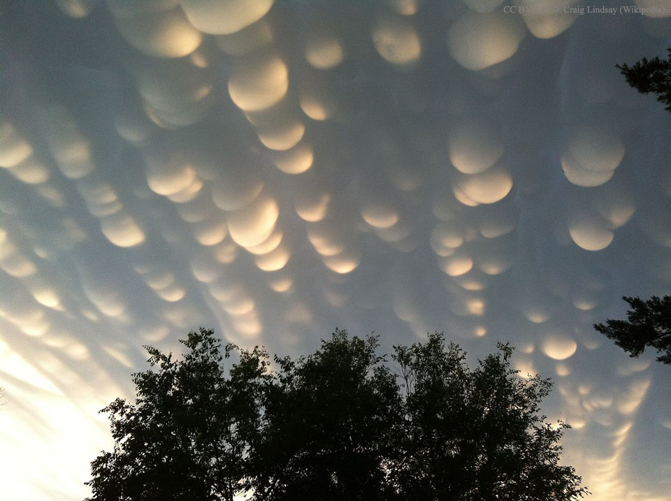 Über einem Baum hängen blasenartige Wolken vom Himmel. Sie werden seitlich von der Sonne beleuchtet.