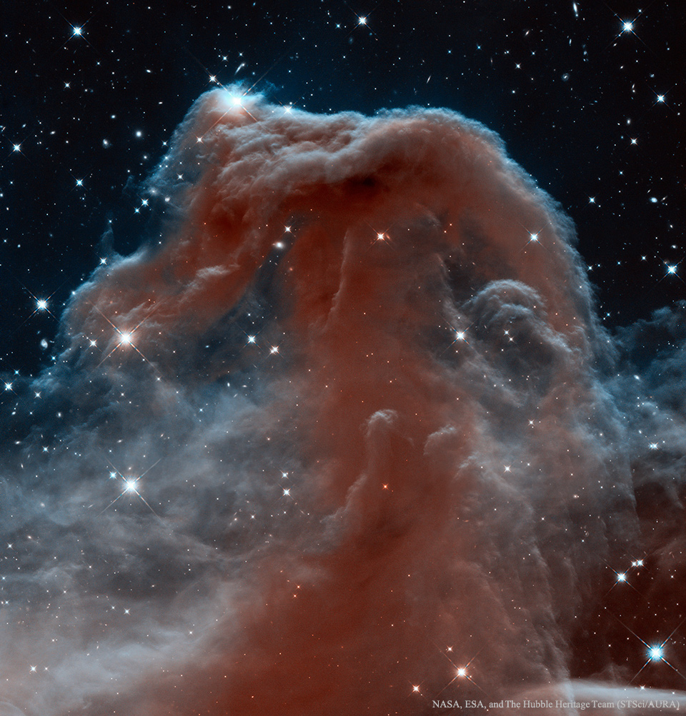 Der Pferdekopfnebel leuchtet in Infrarotlicht. Hier wurde er in Falschfarben dargestellt, die Aufnahme stammt vom Weltraumteleskop Hubble.