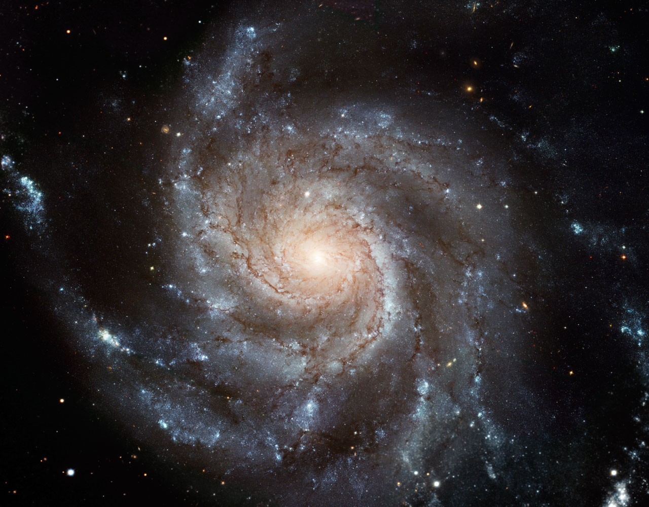 Vor einem dunklen Hintergrund leuchtet eine ausgefranste Spiralgalaxie, die wir von oben sehen.