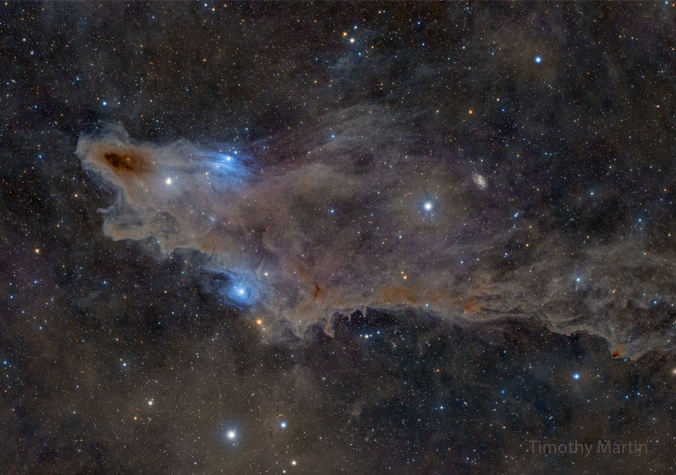 Graubraune Staubwolken breiten sich in dieser Himmelslandschaft aus. Dazwischen befinden sich einige blaue Reflexionsnebel. Im Hintergrund sind viele zarte und einige größere Sterne verteilt. 