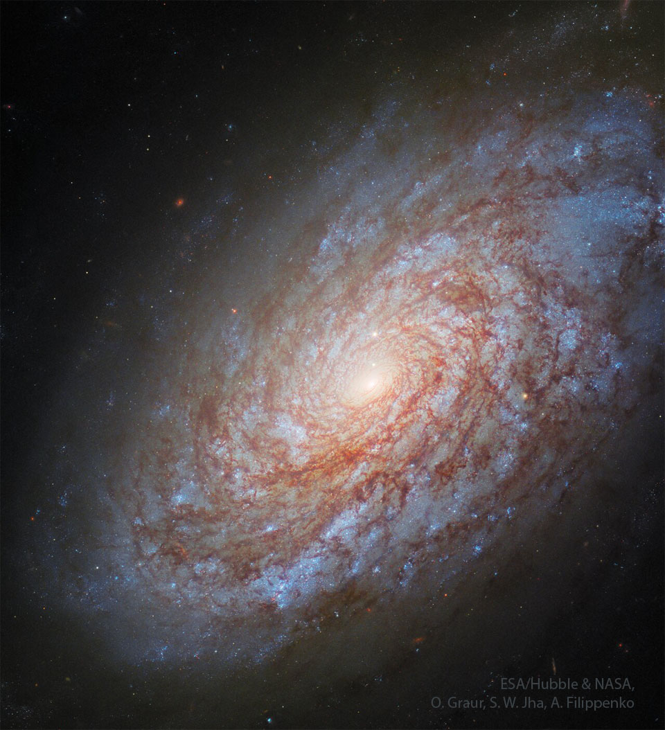 Die Galaxie im Bild ist sehr detailreich abgebildet. Sie wirkt diffus und flockig. Ihre Scheibe ist von vielen Staubwolken und blauen Sternhaufen überzogen.