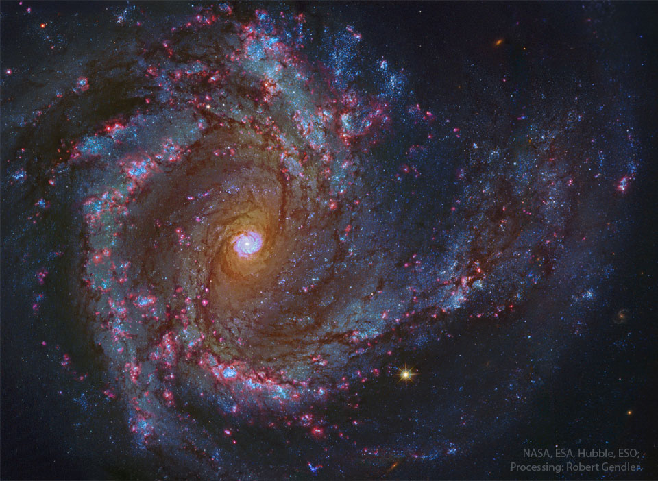 Die Galaxie M61 oder NGC 4303 im Virgo-Galaxienhaufen ist direkt von oben sichtbar. Es wirkt, als wäre innen eine eigene kleine Spiralgalaxie. Außen herum verlaufen ausschweifende Spiralarme mit blauen Sternhaufen und rosaroten Sternbildungsgebieten.