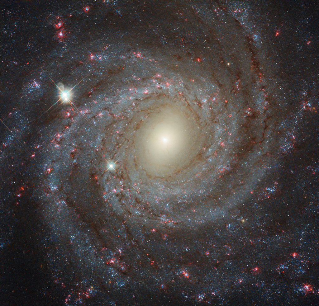 Die Spiralgalaxie NGC 3344 ist von oben sichtbar. Das Bild stammt vom Weltraumteleskop Hubble. Innen leuchtet sie gelblich, außen sind blaue 